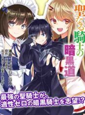 The Holy Knight’s Dark Road – Image 1