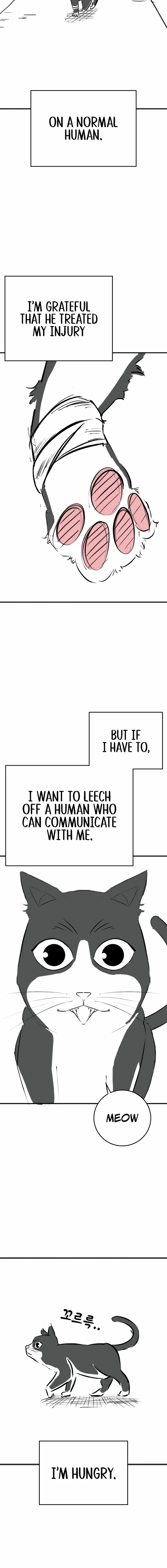 Reality Quest Chapter 164.09 - Page 4