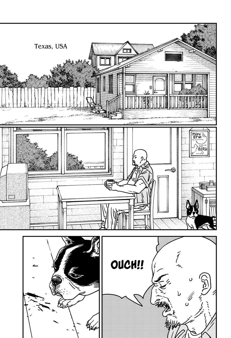 Chainsaw man Chapter 177 - Page 13