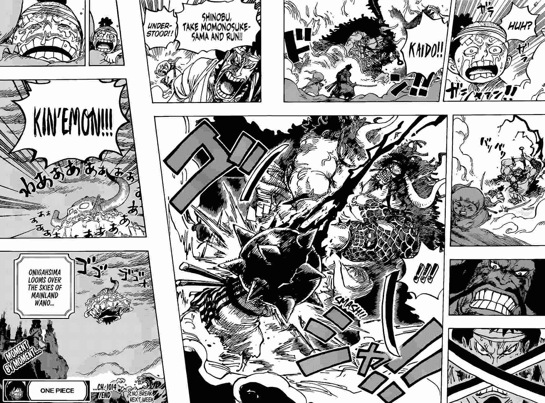 One Piece Chapter 1014 - Page 15