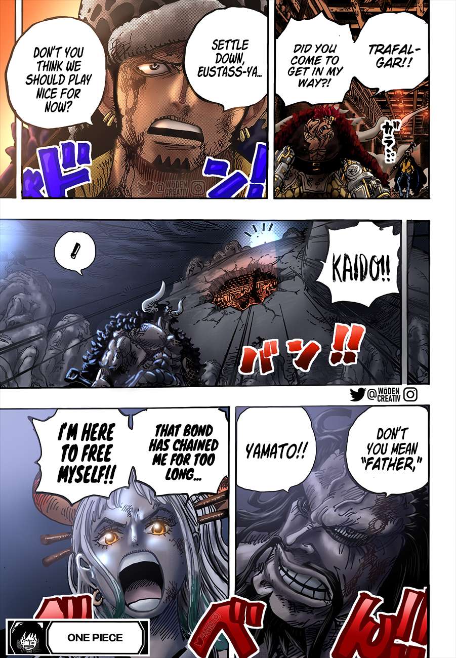 One Piece Chapter 1015 - Page 18