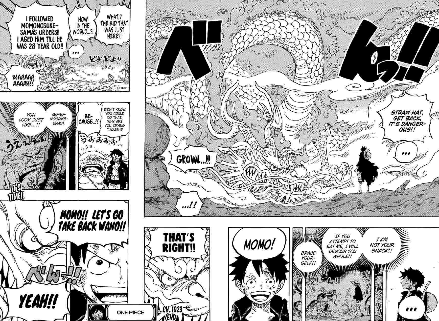 One Piece Chapter 1023 - Page 18
