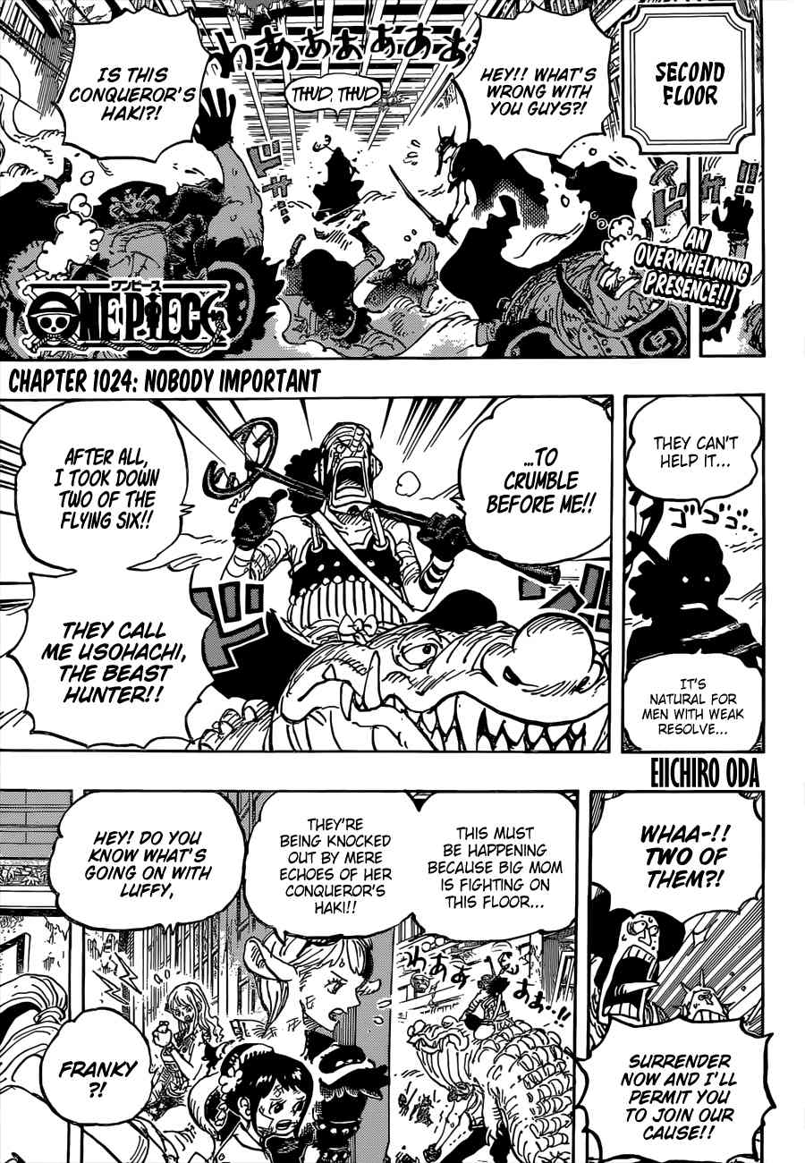 One Piece Chapter 1024 - Page 4