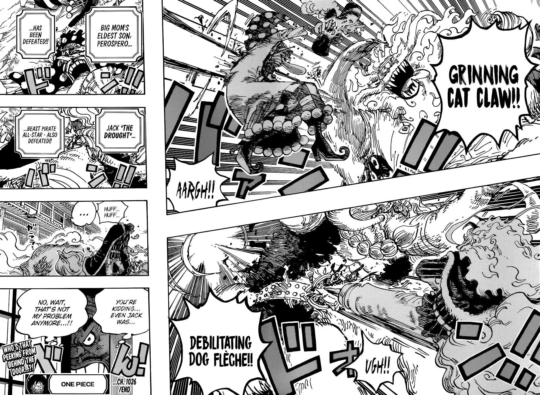 One Piece Chapter 1026 - Page 15