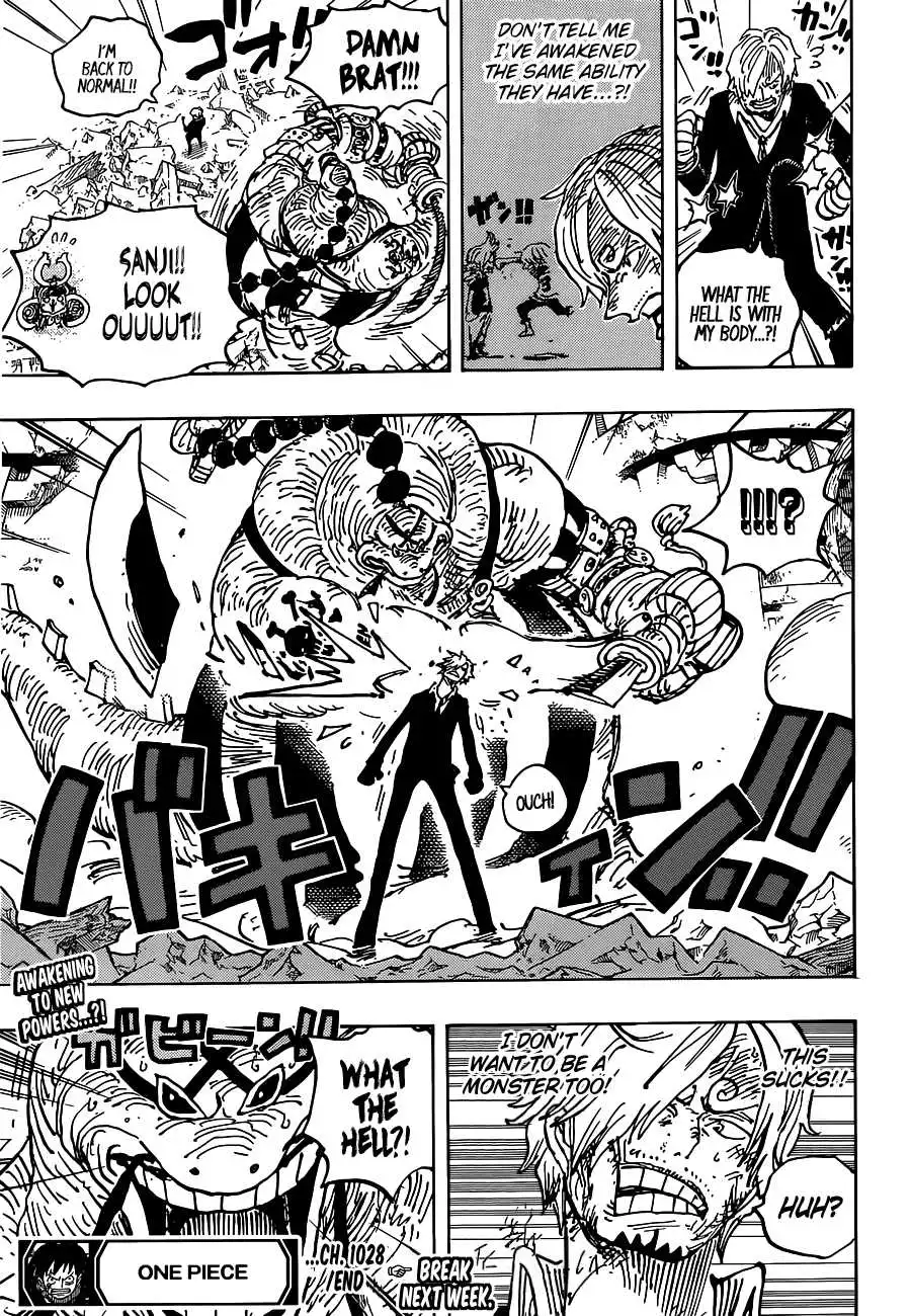 One Piece Chapter 1028 - Page 18