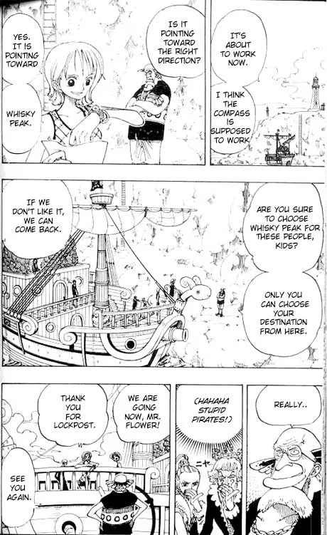 One Piece Chapter 105 - Page 18