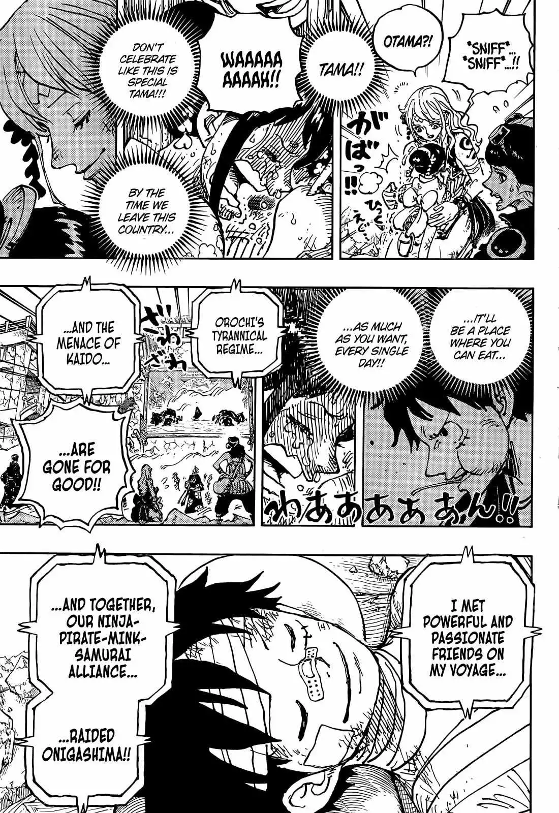 One Piece Chapter 1051 - Page 12