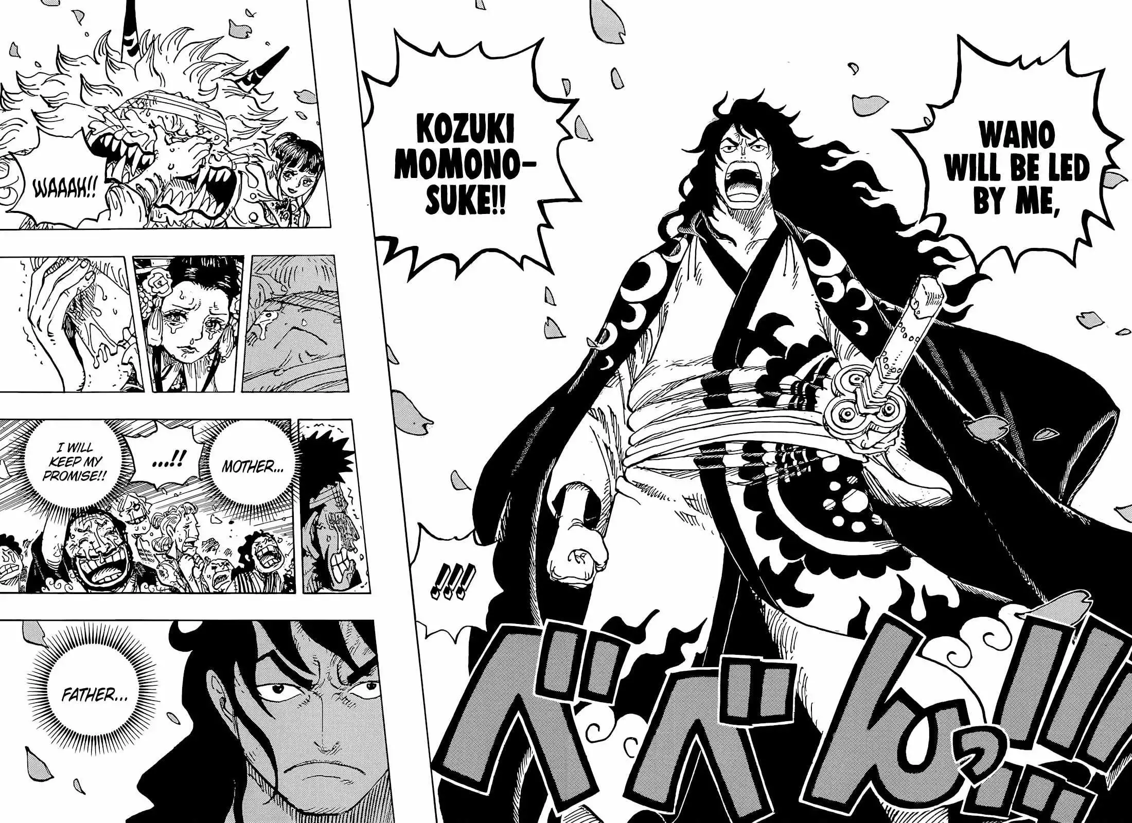 One Piece Chapter 1051 - Page 15