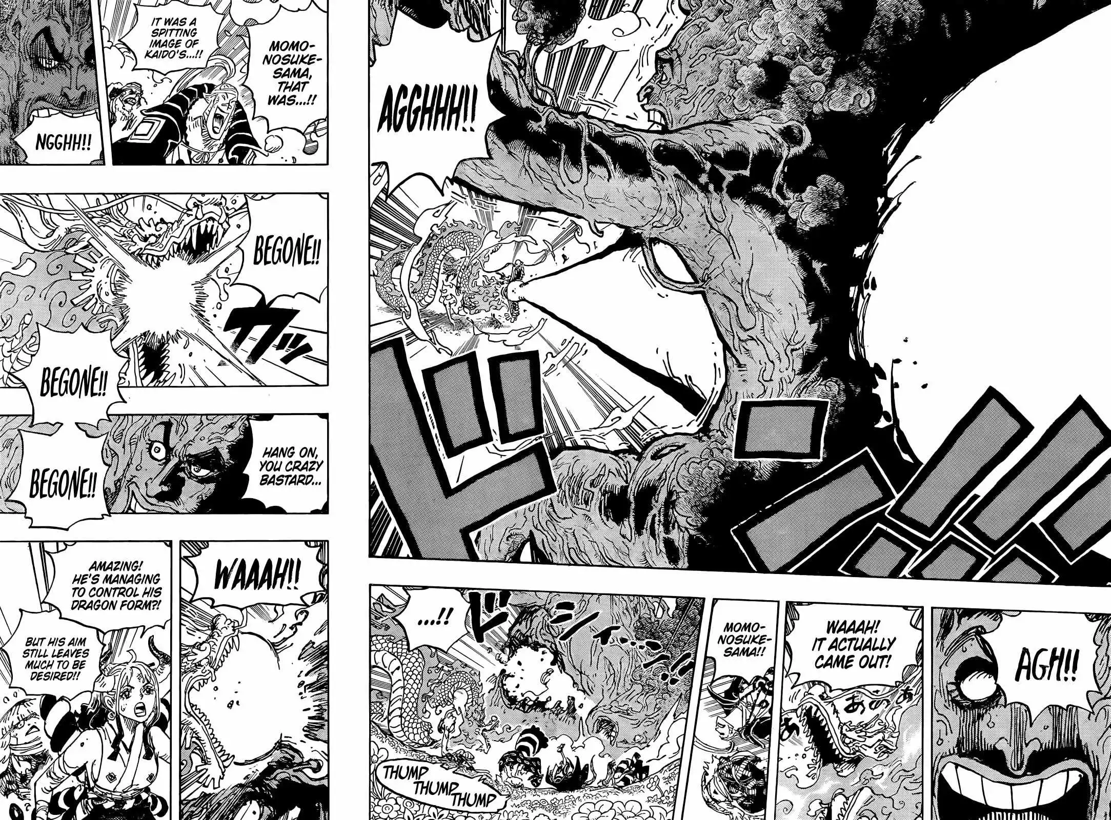 One Piece Chapter 1055 - Page 15