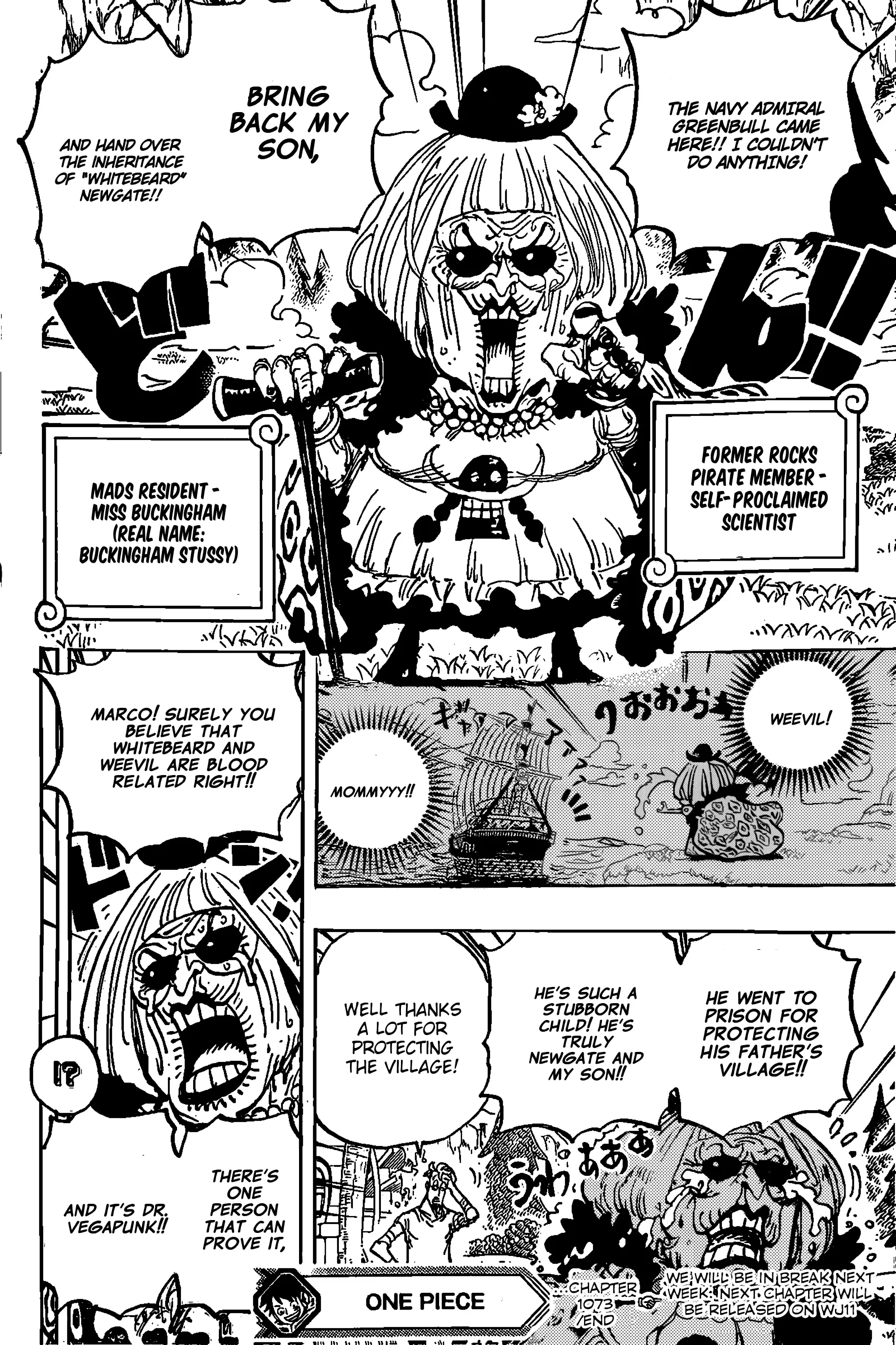 One Piece Chapter 1072.1 - Page 15