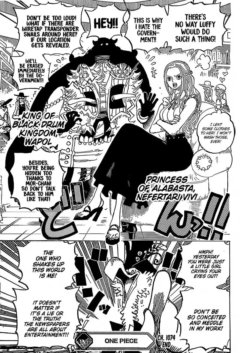One Piece Chapter 1074 - Page 16