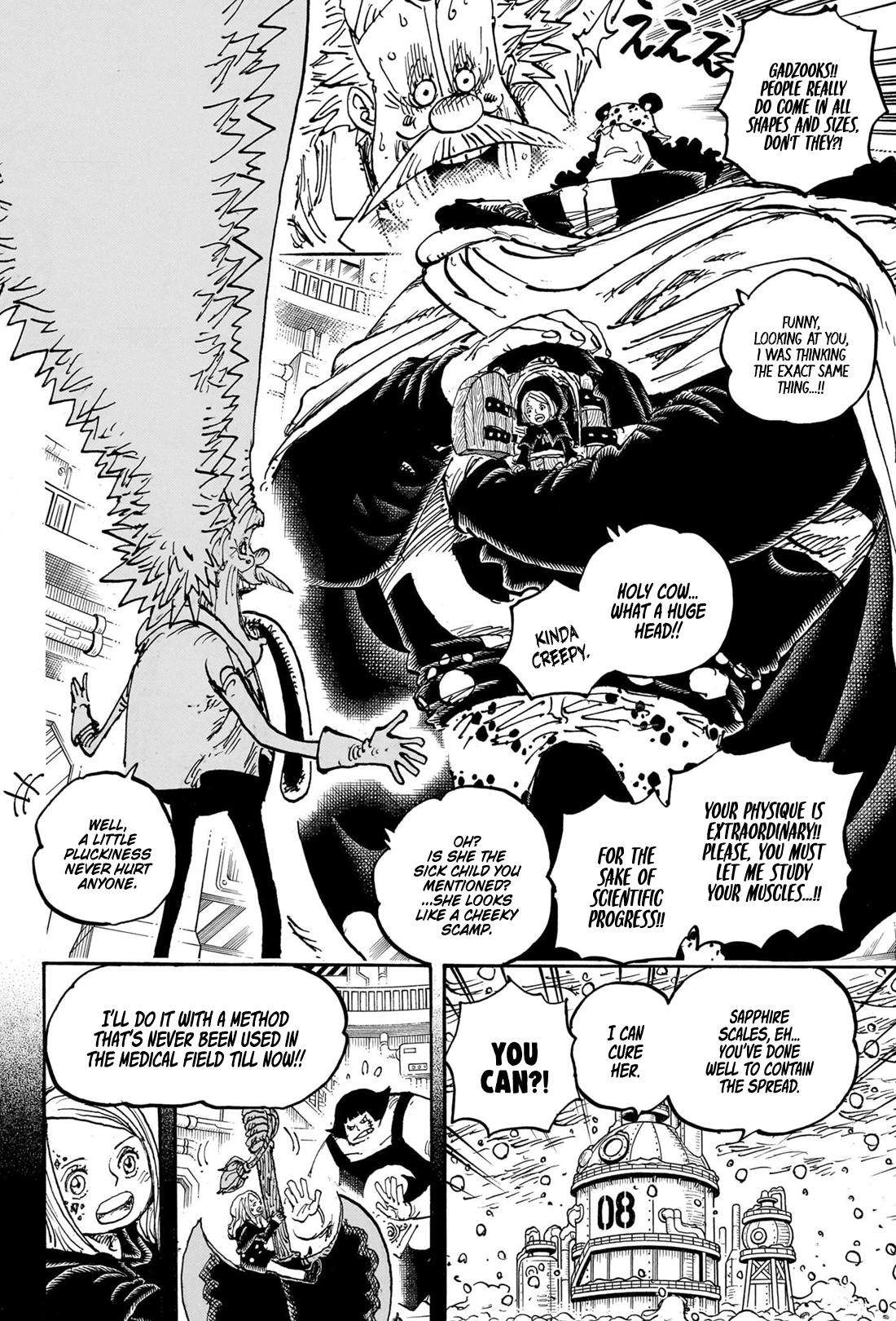 One Piece Chapter 1099 - Page 14