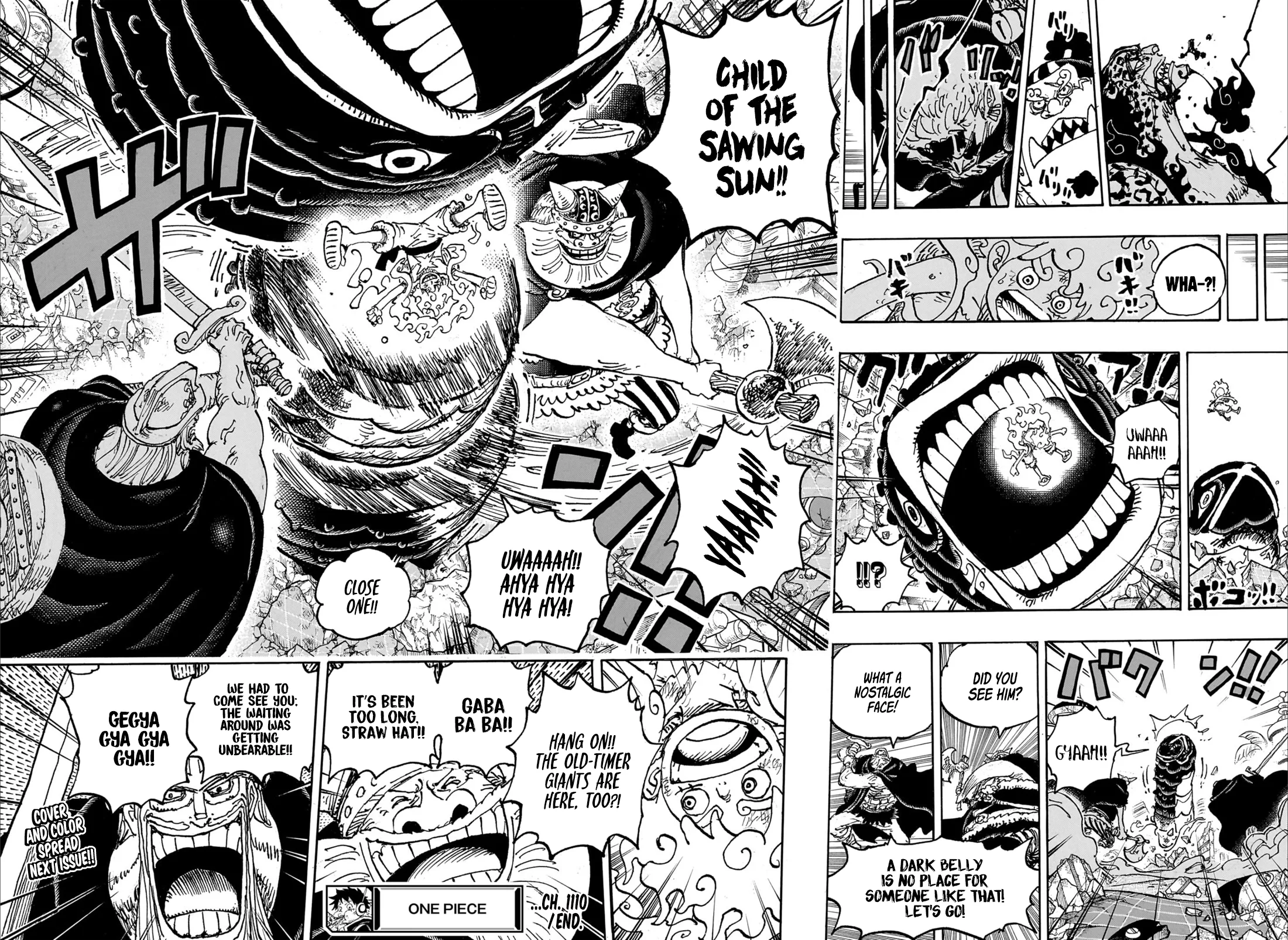 One Piece Chapter 1110 - Page 13