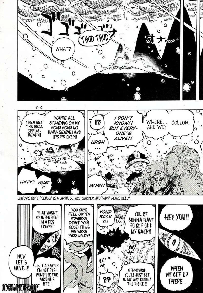 One Piece Chapter 1174 - Page 13