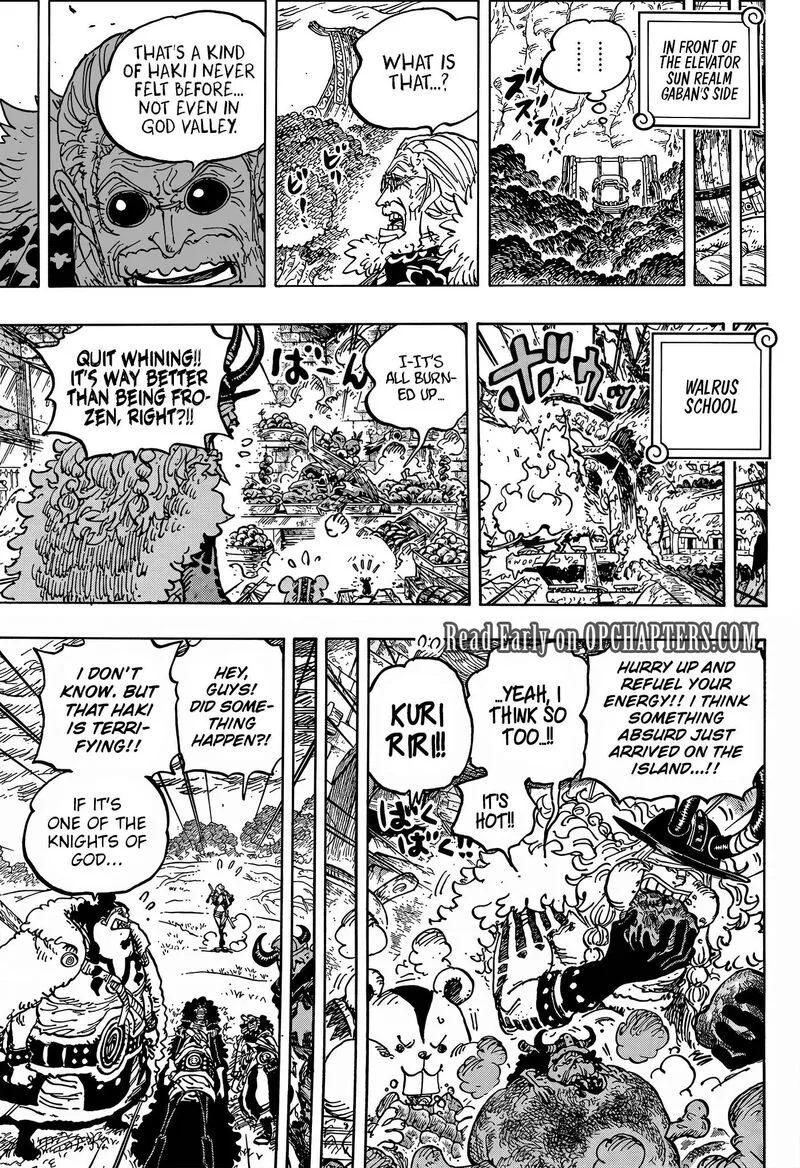 One Piece Chapter 1180 - Page 12