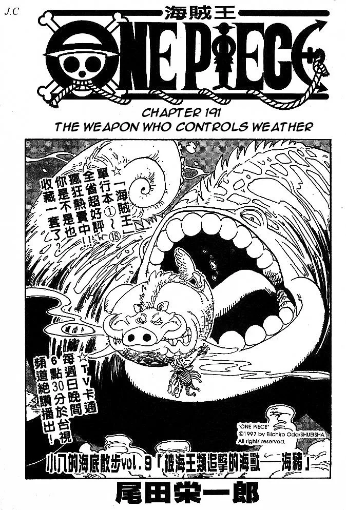 One Piece Chapter 191 - Page 19