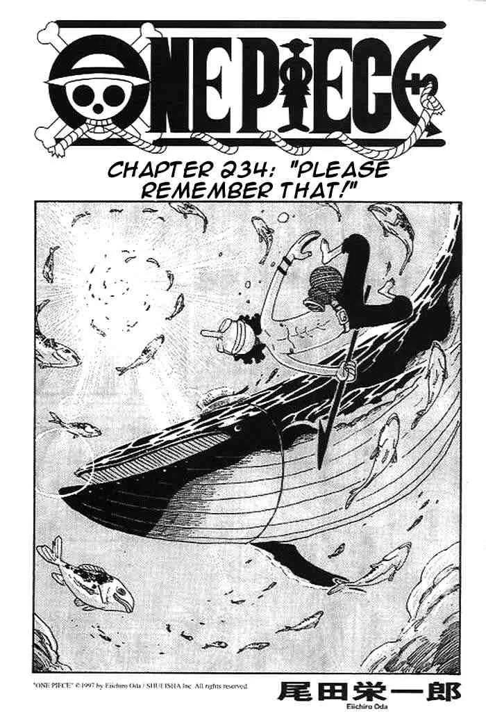 One Piece Chapter 234 - Page 1