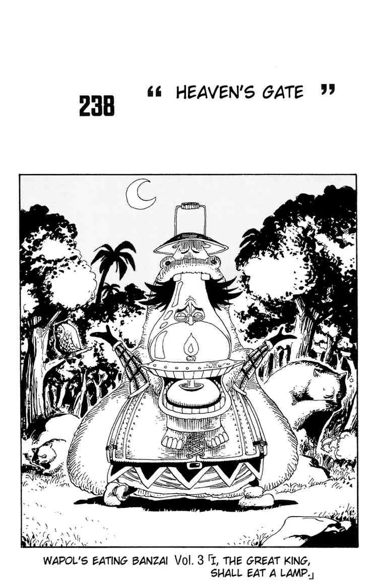 One Piece Chapter 238 - Page 1