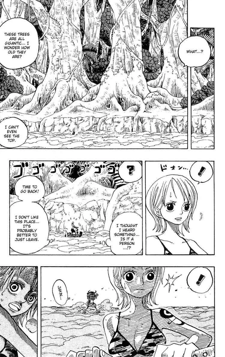 One Piece Chapter 241 - Page 5