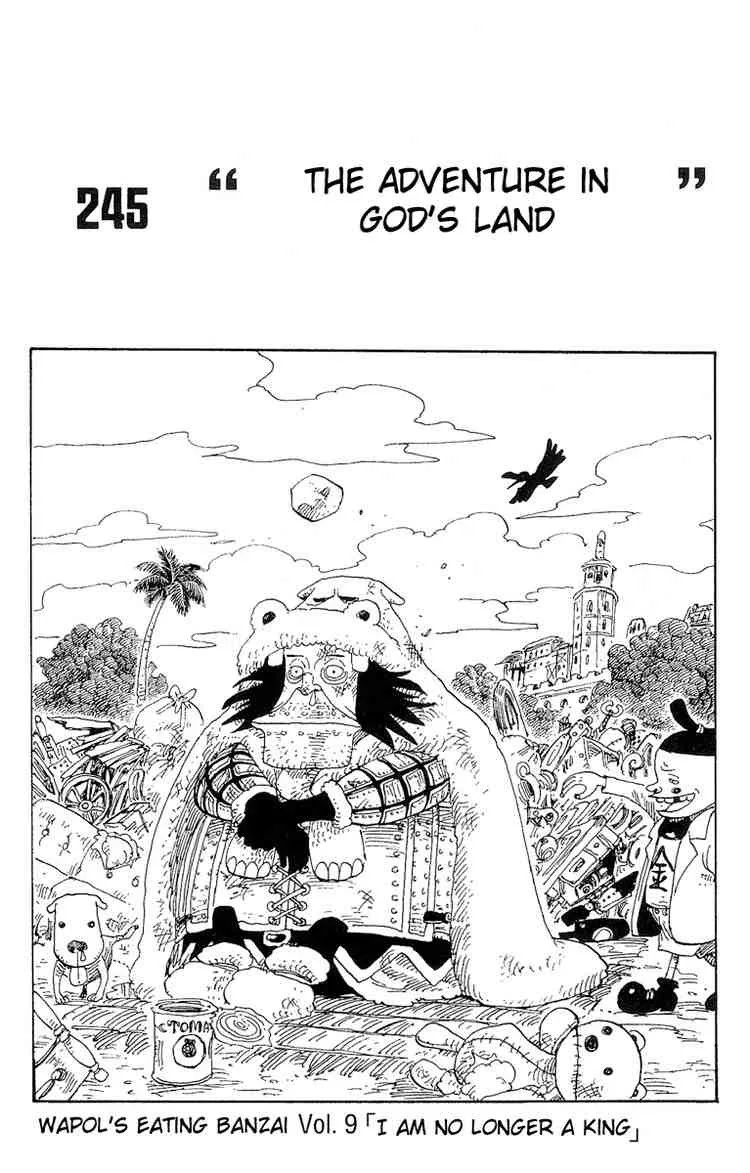 One Piece Chapter 245 - Page 1