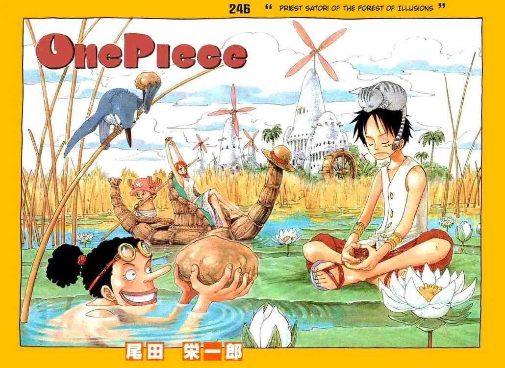 One Piece Chapter 246 - Page 1
