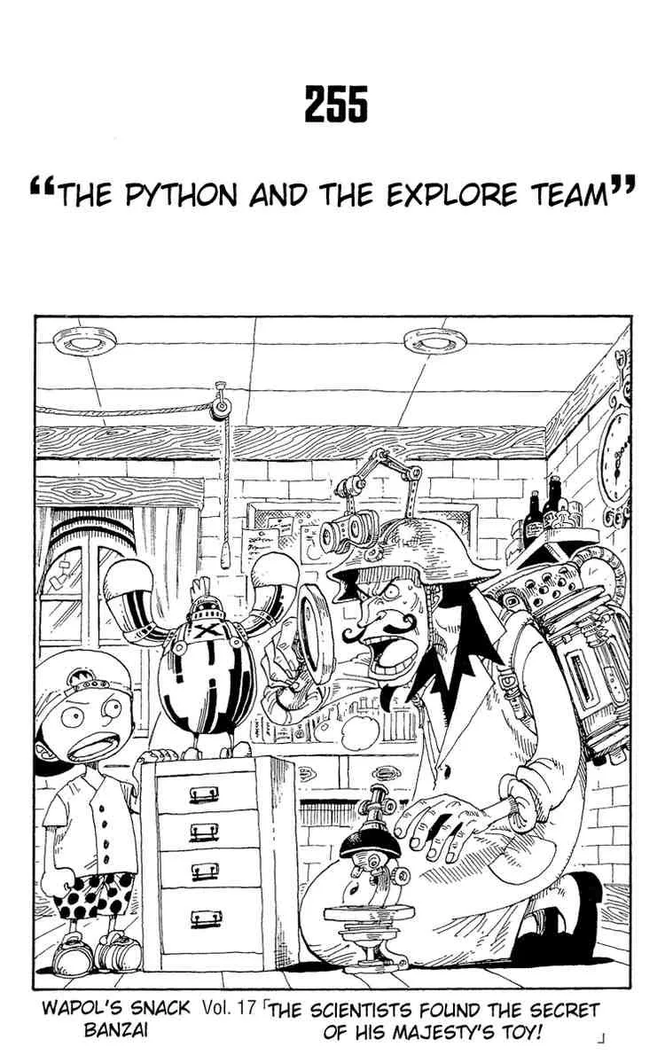 One Piece Chapter 255 - Page 1