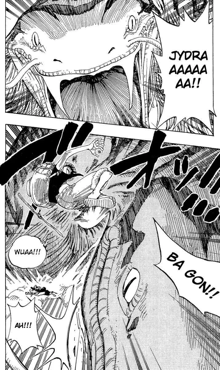 One Piece Chapter 255 - Page 14
