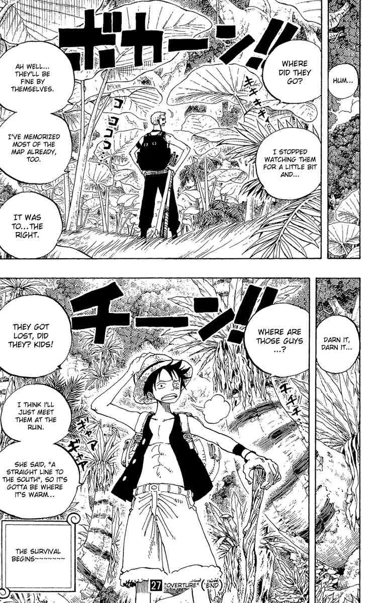 One Piece Chapter 255 - Page 19