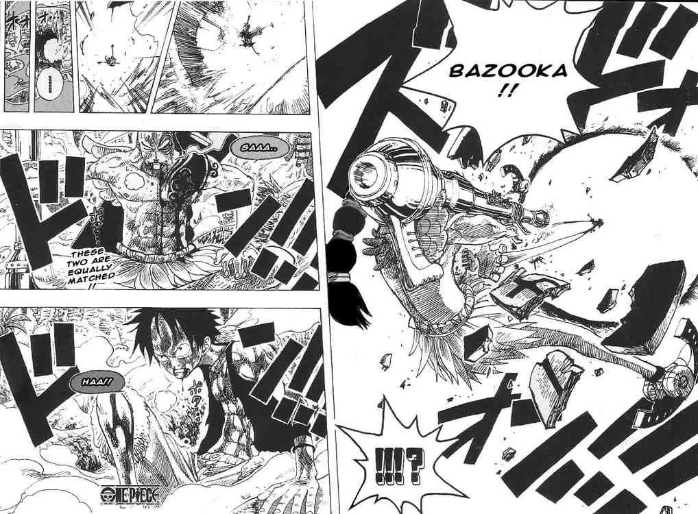 One Piece Chapter 260 - Page 15