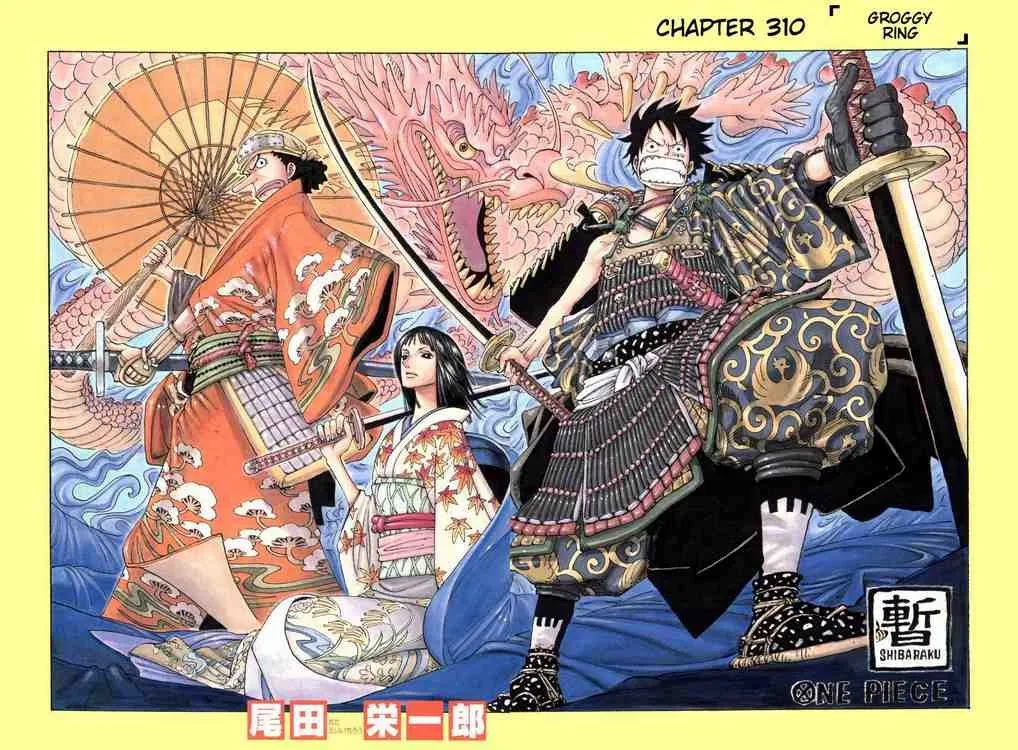 One Piece Chapter 310 - Page 1
