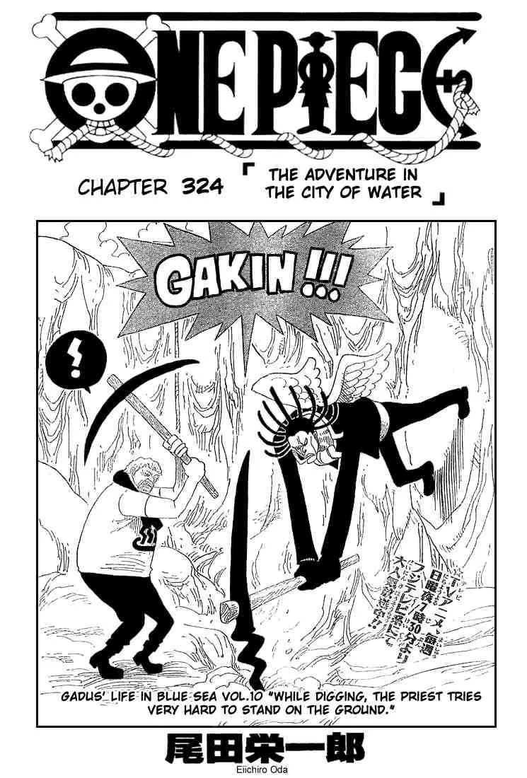 One Piece Chapter 324 - Page 1