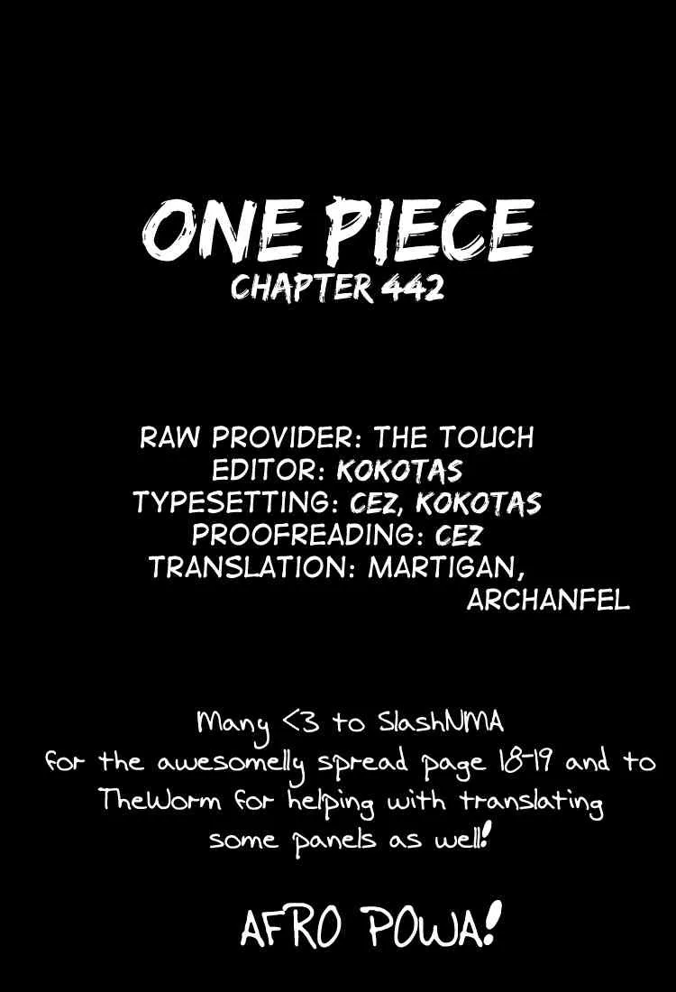 One Piece Chapter 442 - Page 19