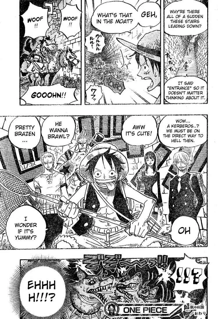 One Piece Chapter 446 - Page 18