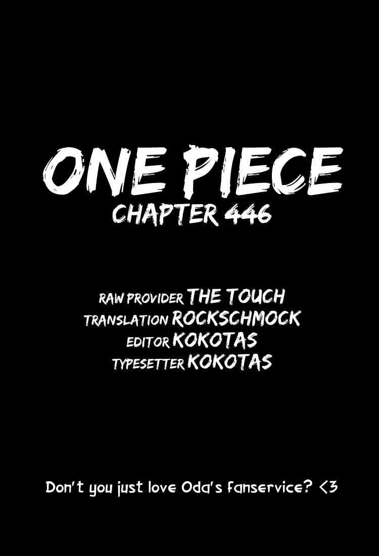 One Piece Chapter 446 - Page 19