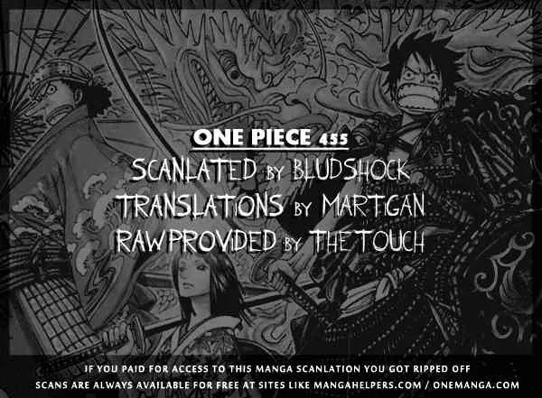 One Piece Chapter 455 - Page 19