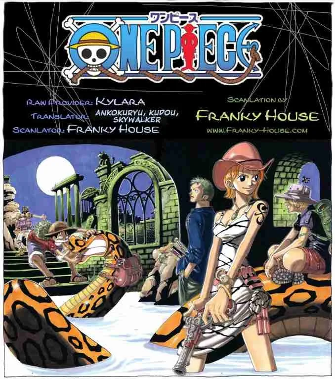 One Piece Chapter 483 - Page 1