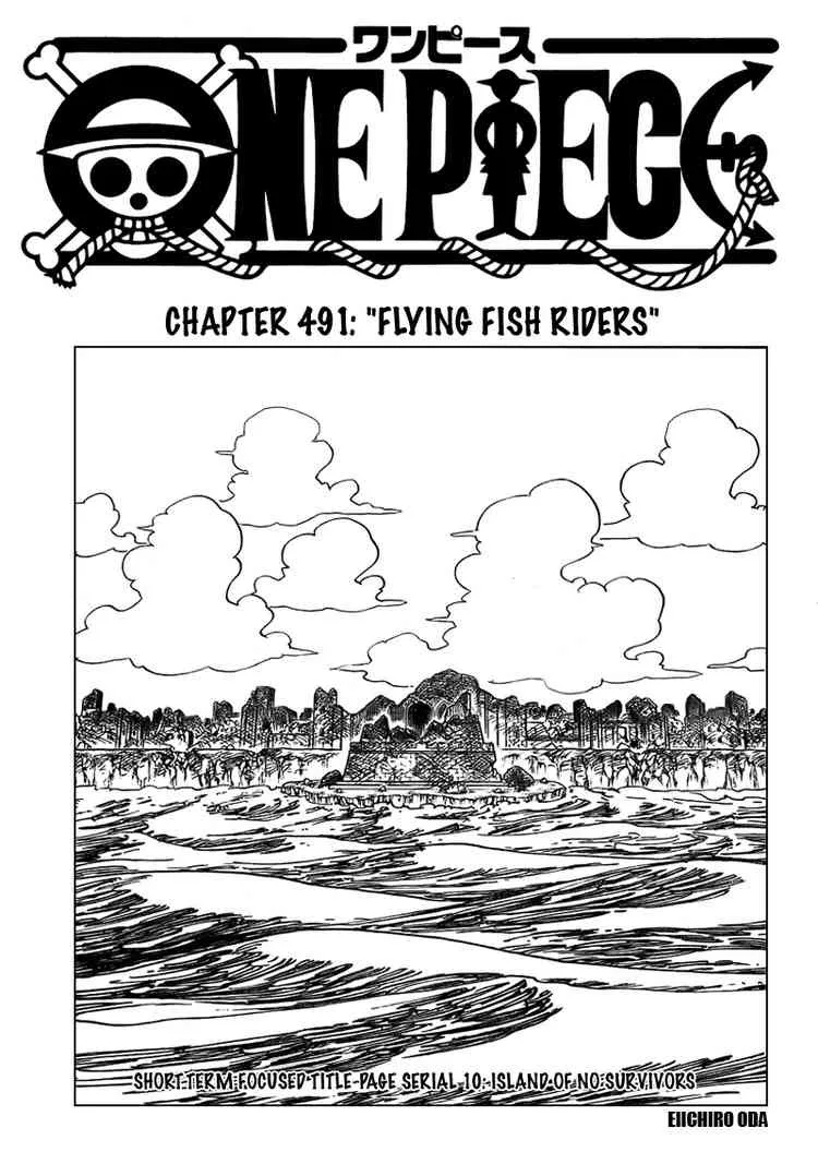 One Piece Chapter 491 - Page 1
