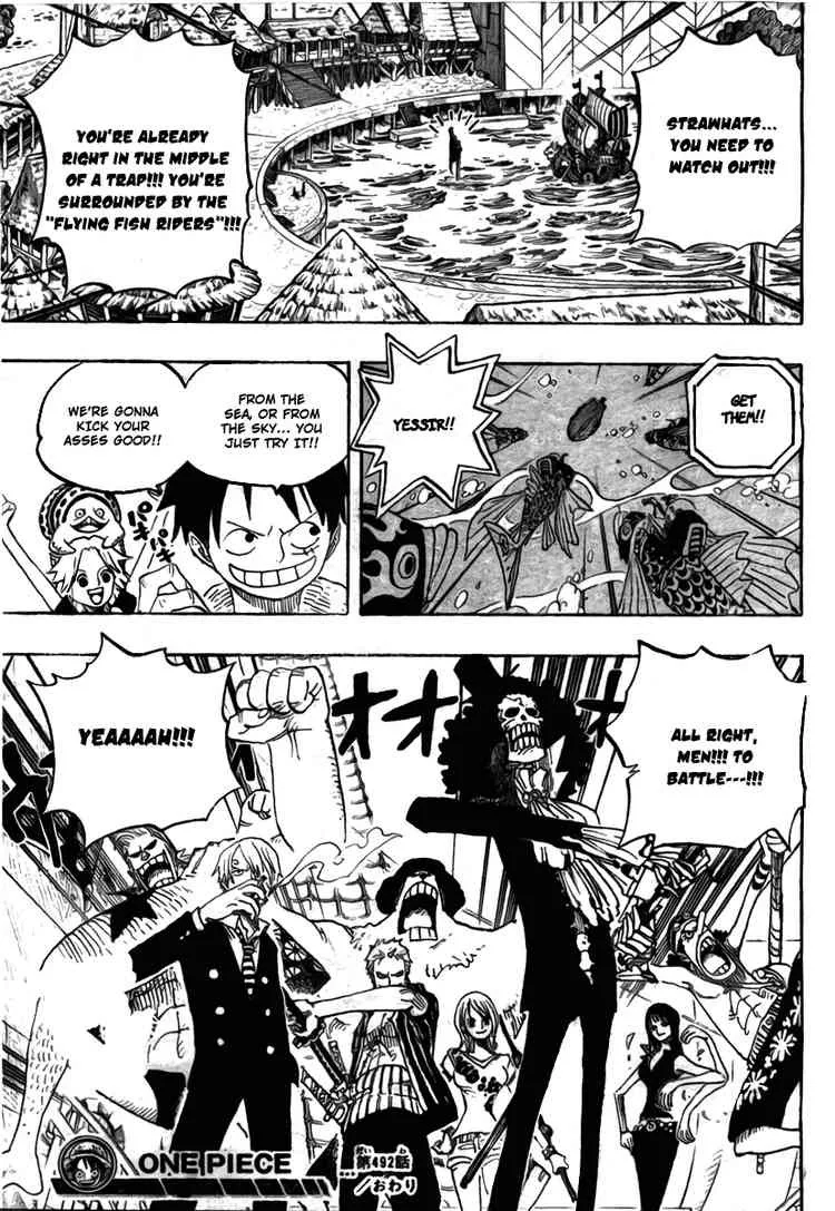 One Piece Chapter 492 - Page 19