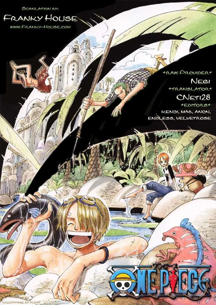 One Piece Chapter 492 - Page 20