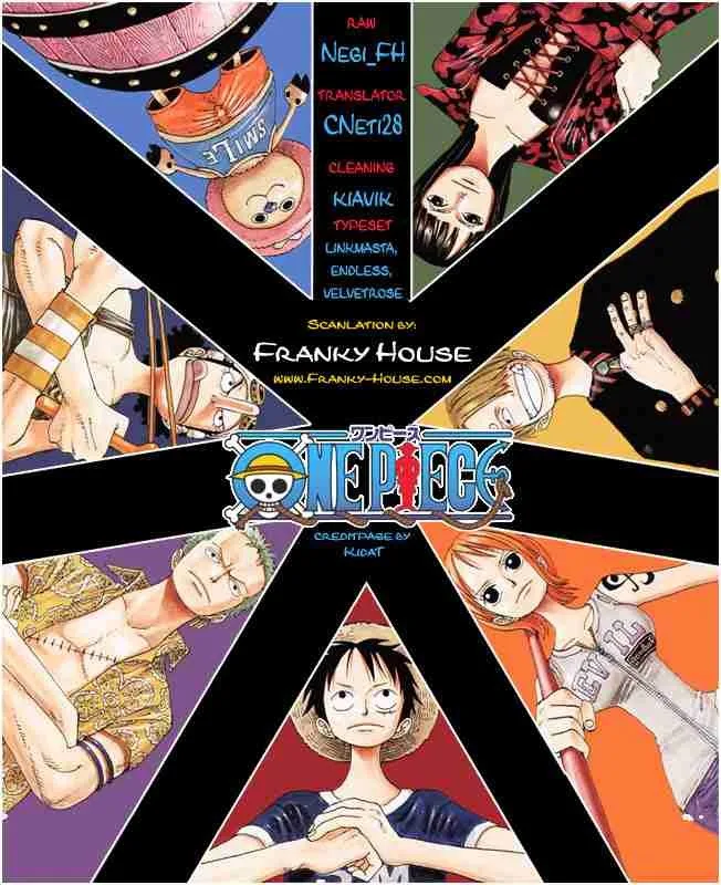 One Piece Chapter 497 - Page 20