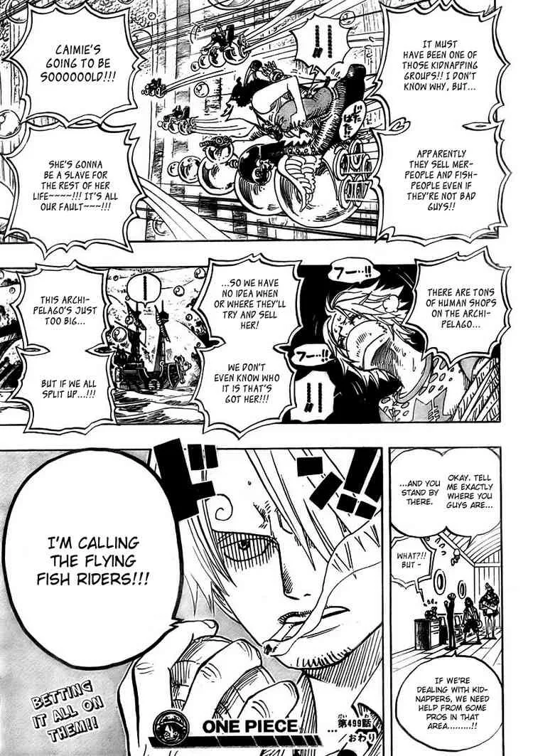 One Piece Chapter 499 - Page 18