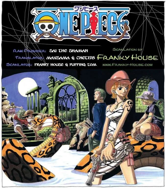 One Piece Chapter 499 - Page 19