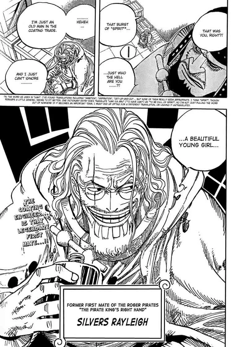 One Piece Chapter 500 - Page 19