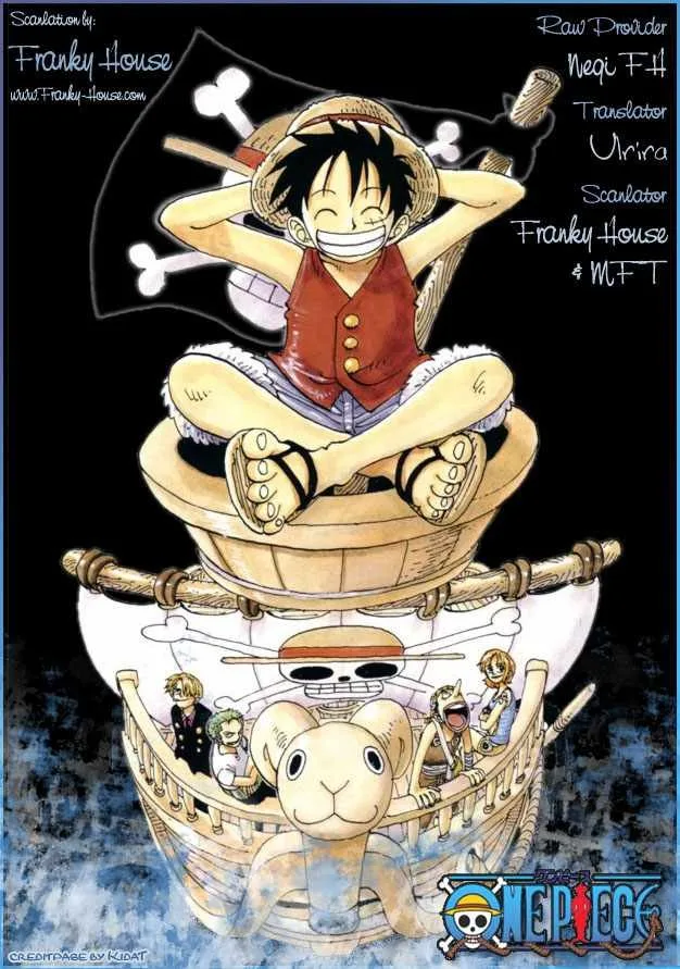 One Piece Chapter 506 - Page 20