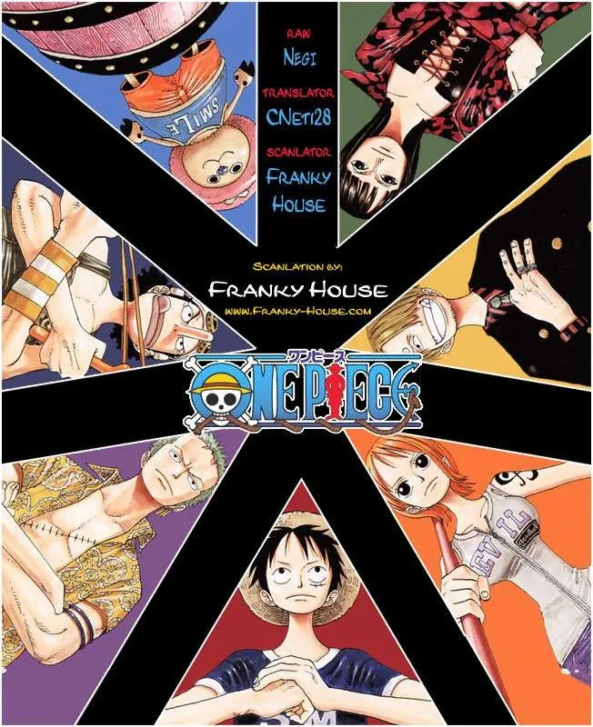 One Piece Chapter 508 - Page 20