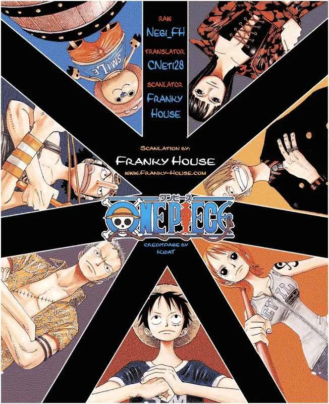 One Piece Chapter 513 - Page 19