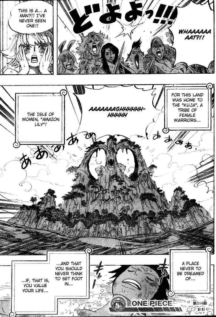 One Piece Chapter 514 - Page 19