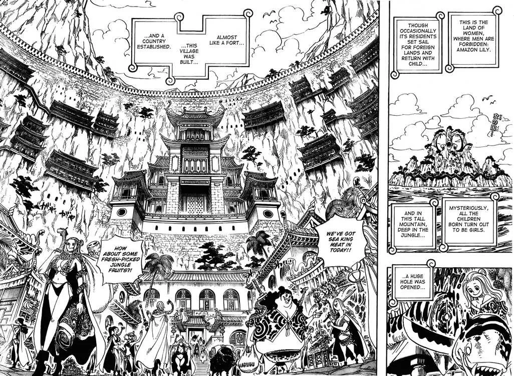 One Piece Chapter 515 - Page 2