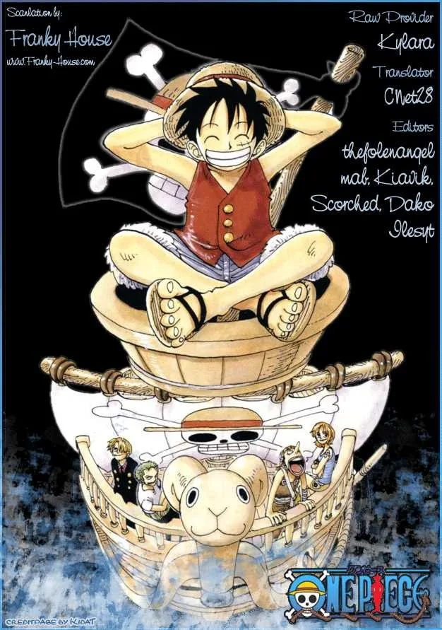 One Piece Chapter 516 - Page 18