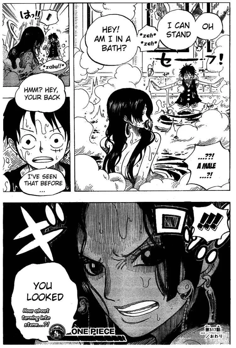 One Piece Chapter 517 - Page 19